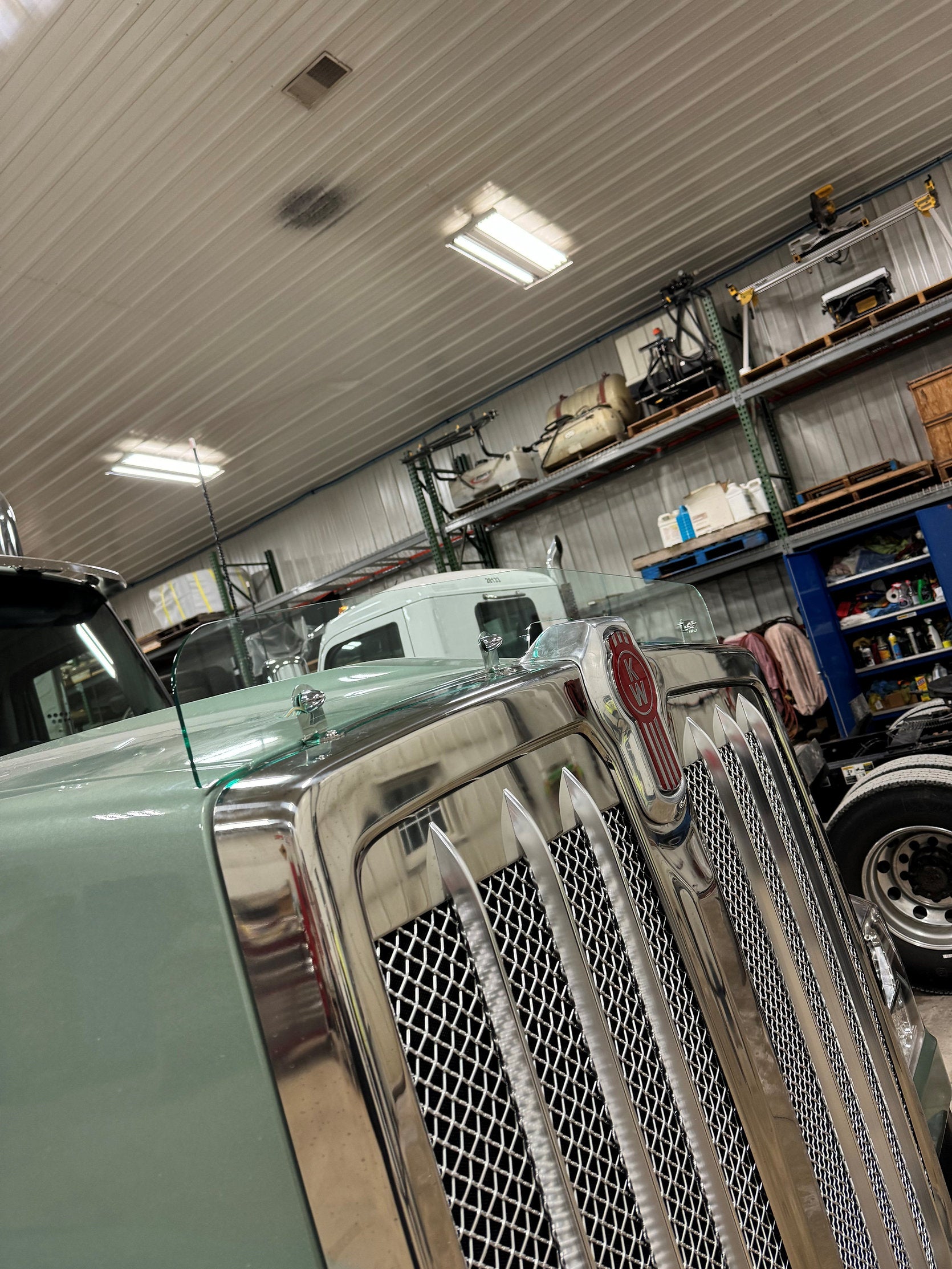 Kenworth 990 Bugshield
