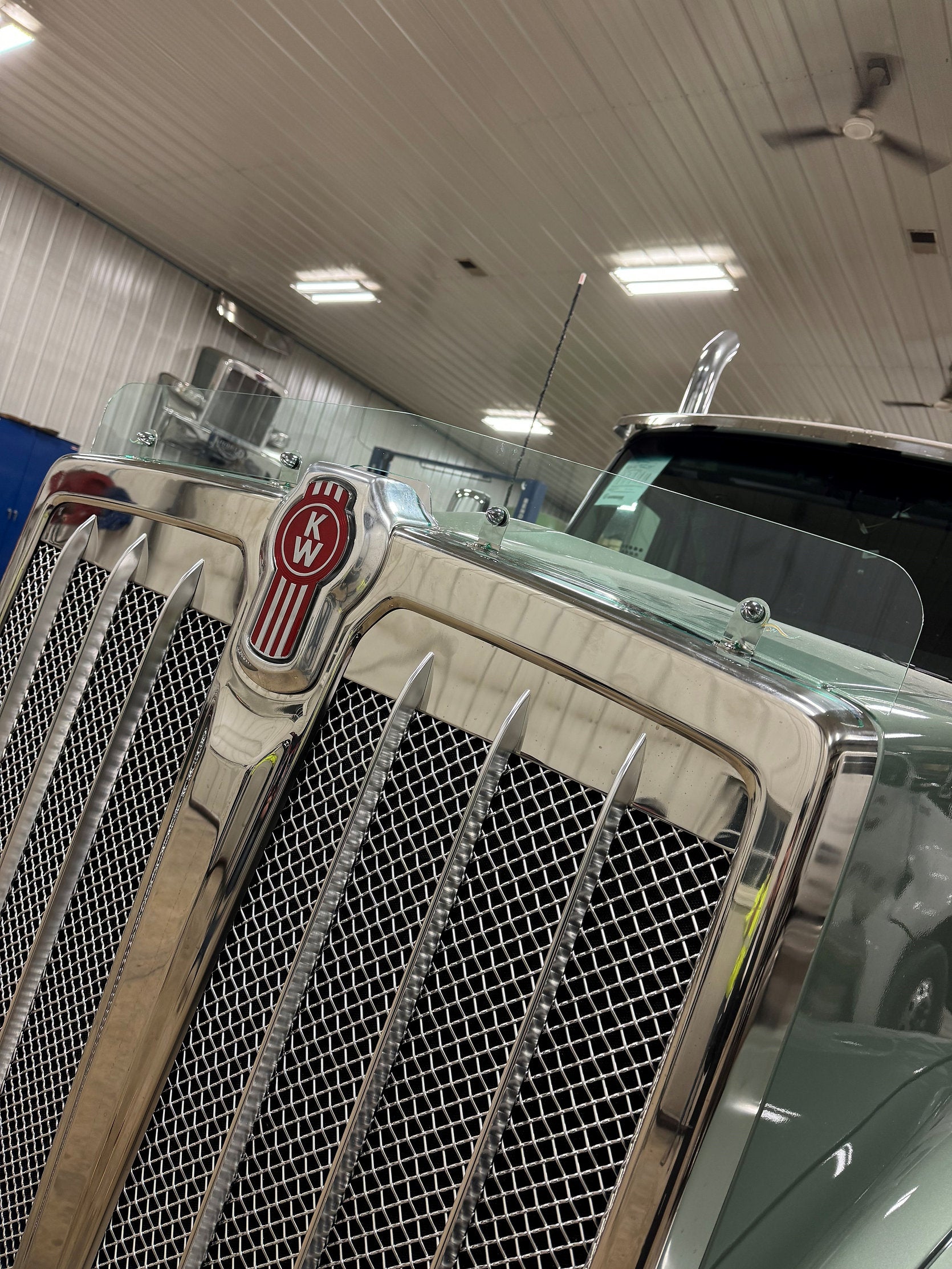 Kenworth 990 Bugshield