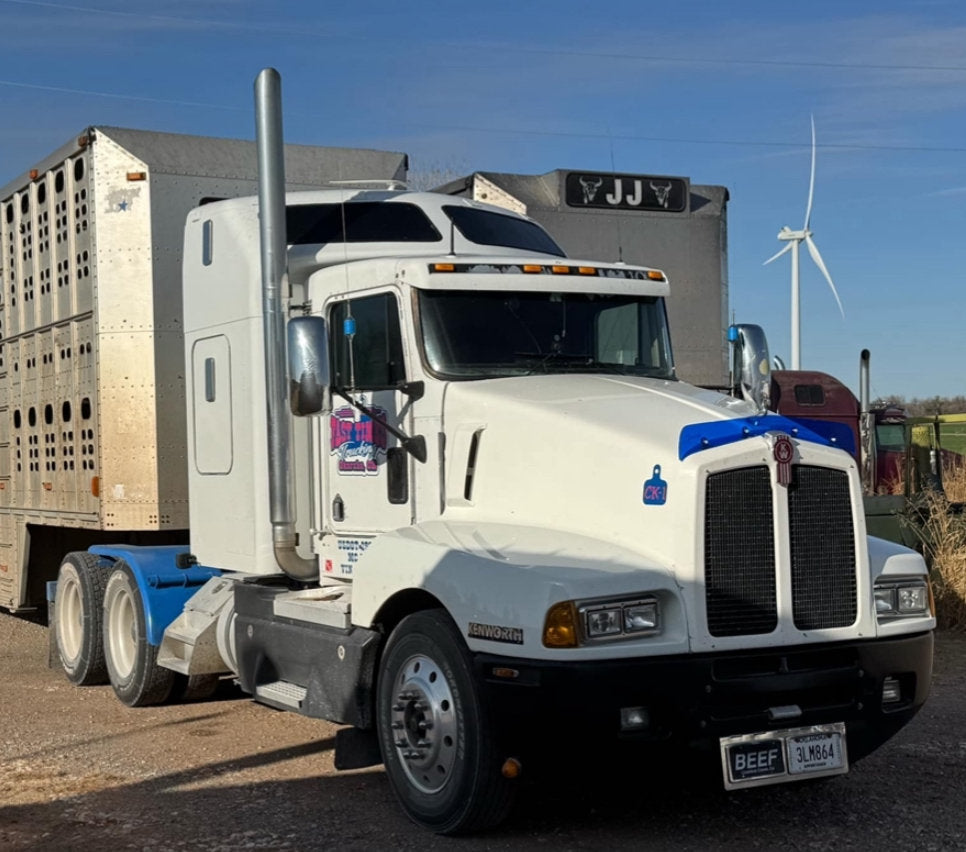 Kenworth T600 *Curved Glass* Bugshield