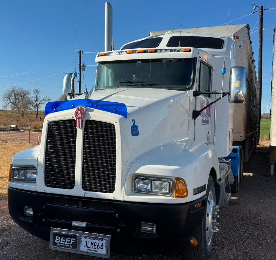 Kenworth T600 *Curved Glass* Bugshield