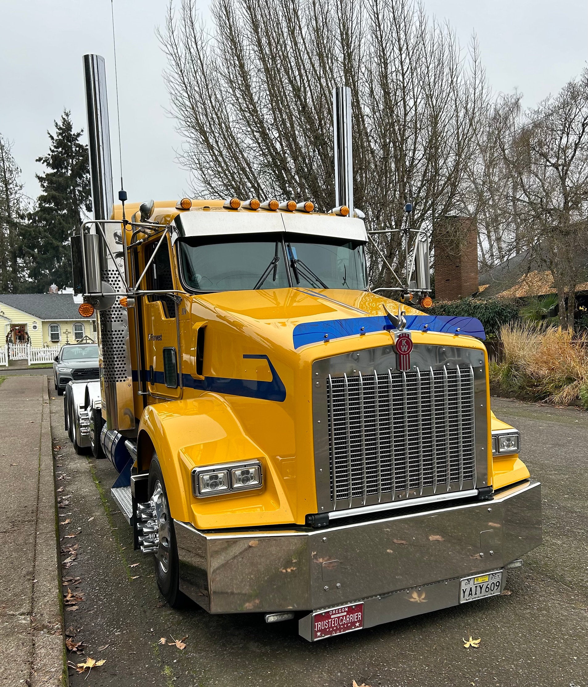 2003 Kenworth T800 | White Bug Screen Truck Grille Covers 2003 Kenworth T800 | White Bug Screen Truck Grille Covers
