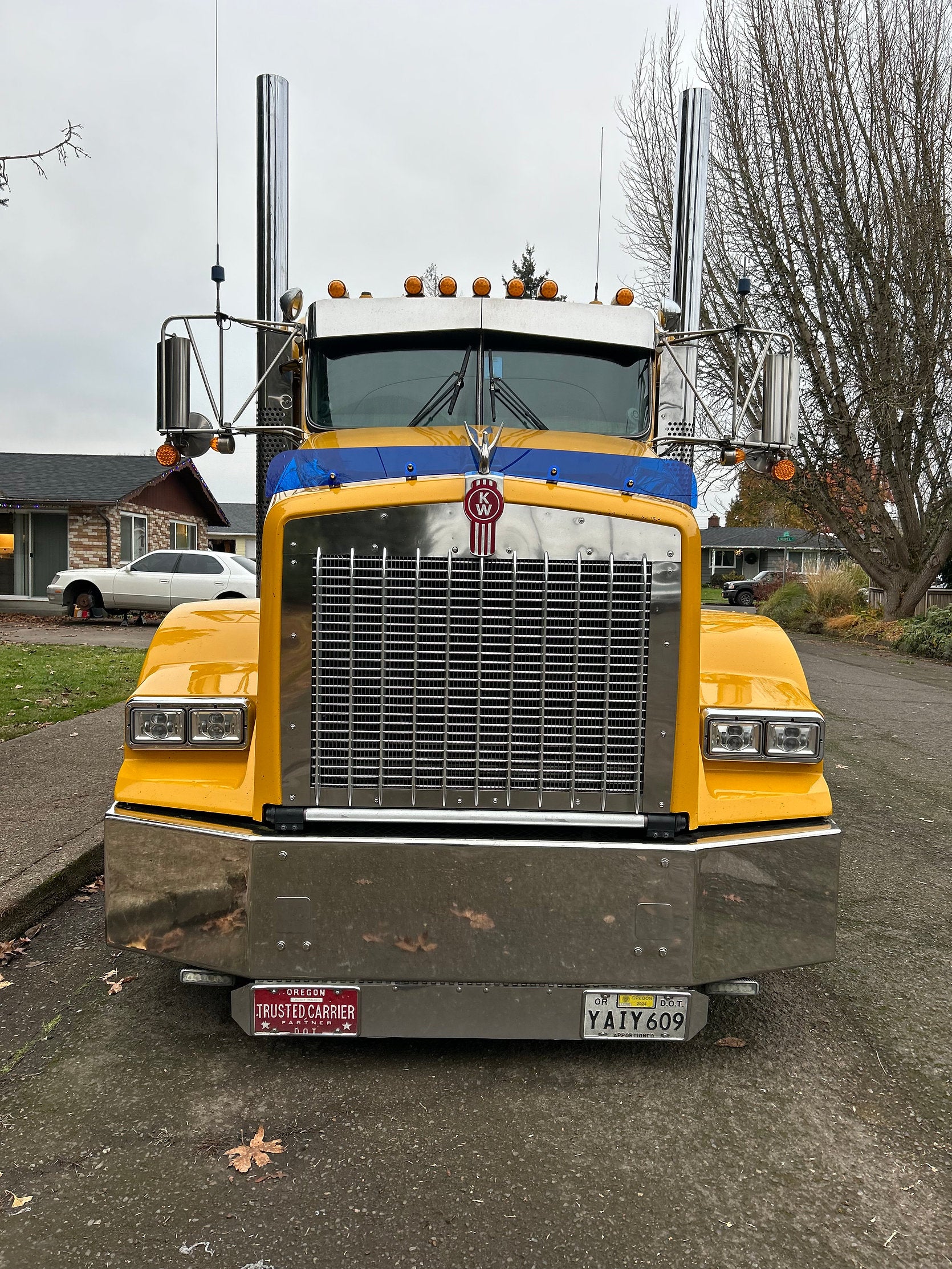 Kenworth T800 Bugshield