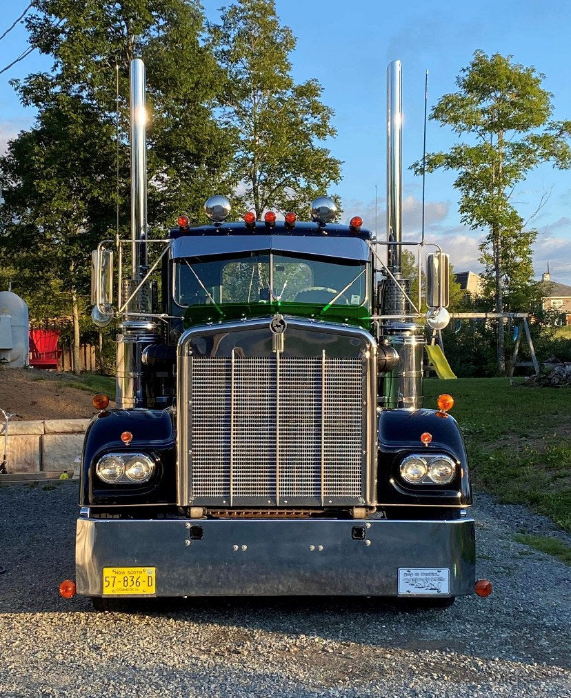 Kenworth W9A Bugshield