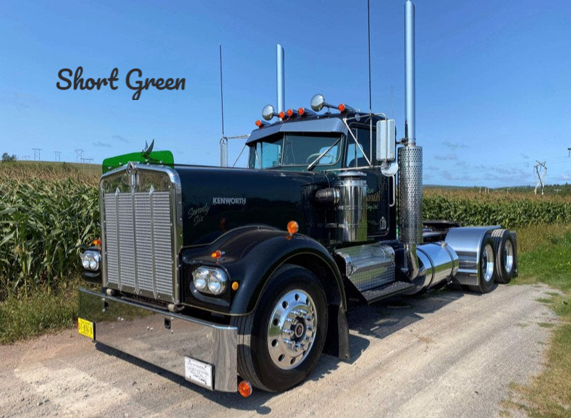 Kenworth W9A Bugshield