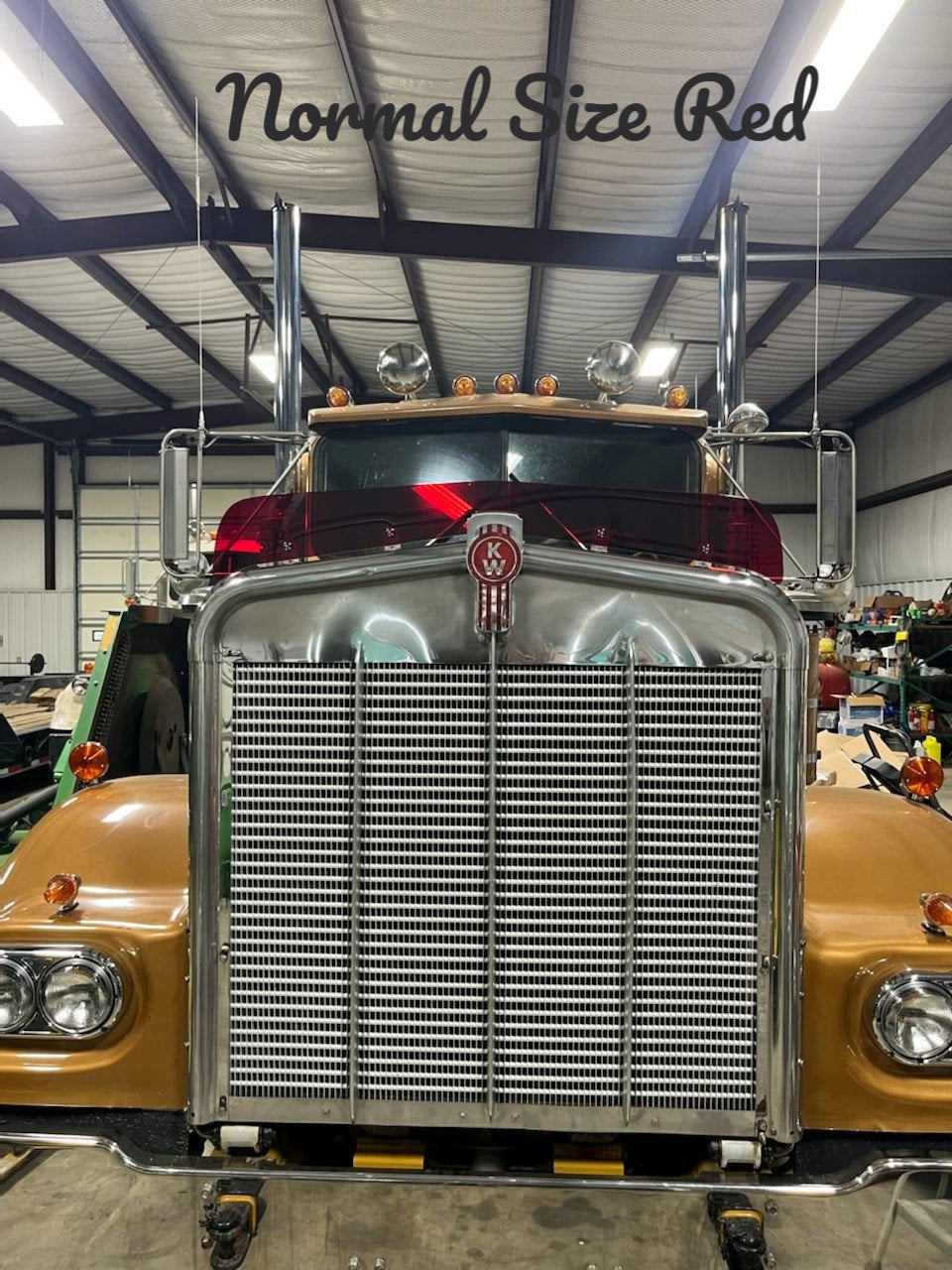 Kenworth W9A Bugshield