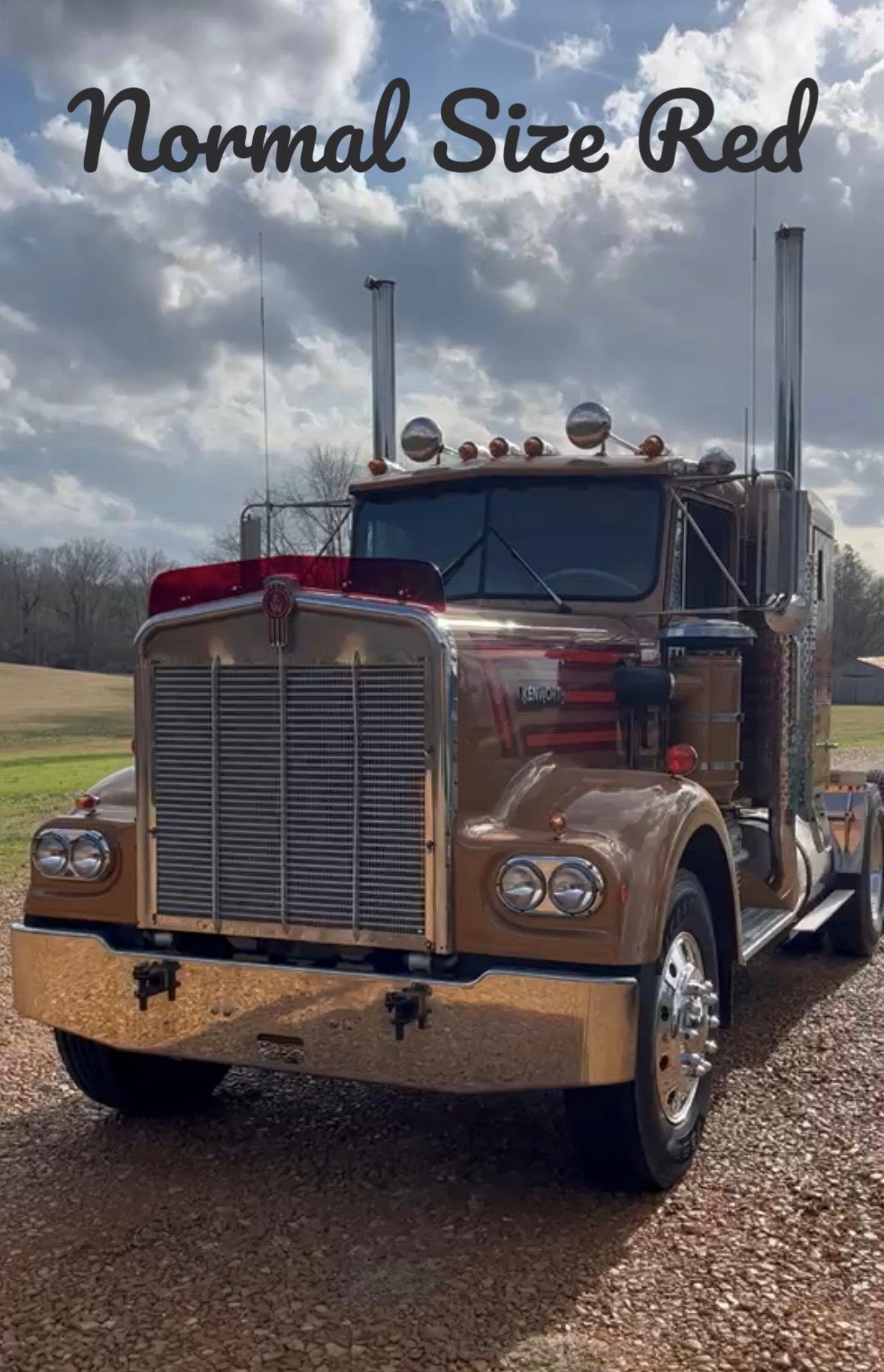 Kenworth W9A Bugshield