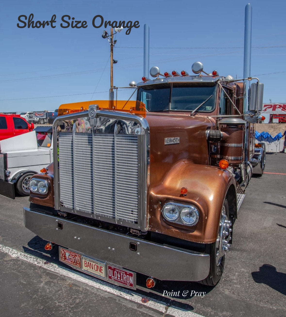 Kenworth W9A Bugshield