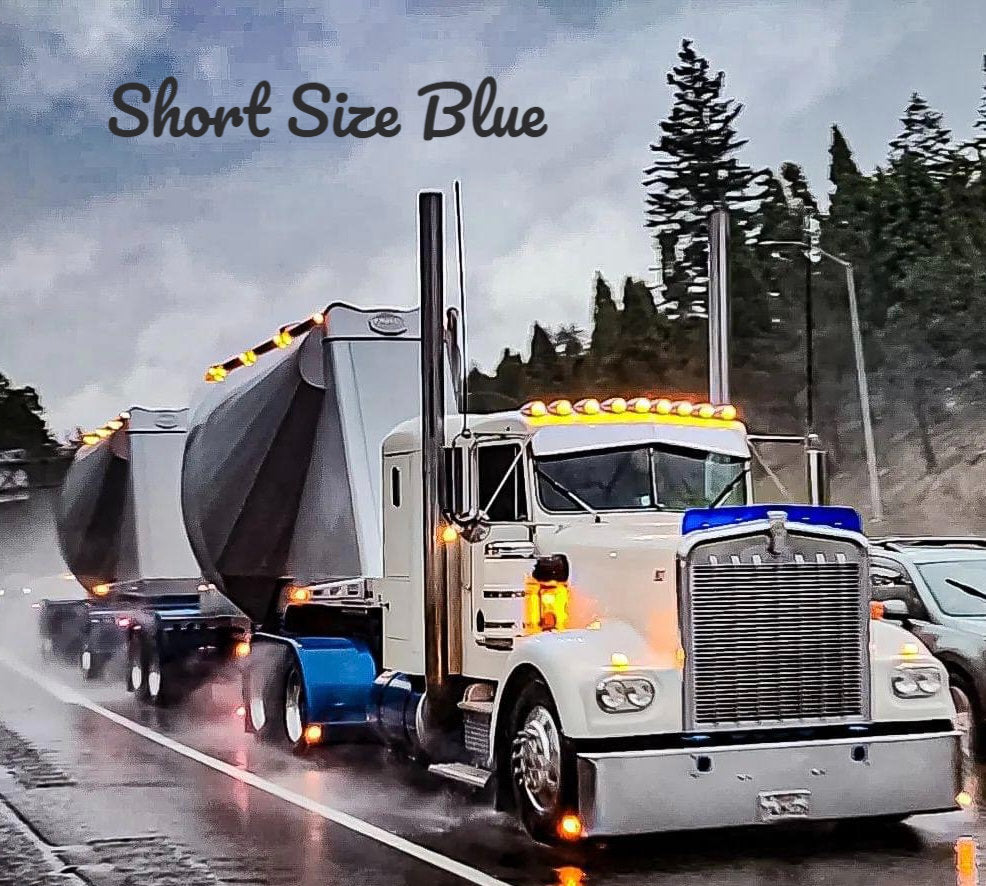 Kenworth W9A Bugshield