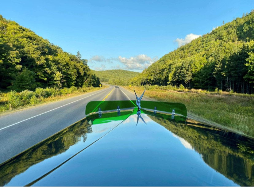 Kenworth W9A Bugshield
