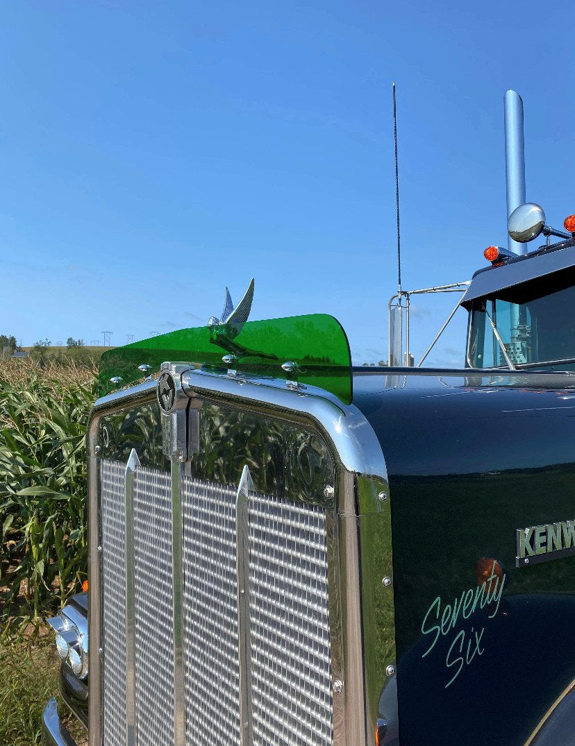 Kenworth W9A Bugshield