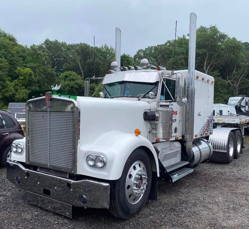 Kenworth W9A Bugshield
