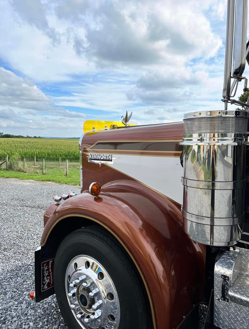 Kenworth W9A Bugshield