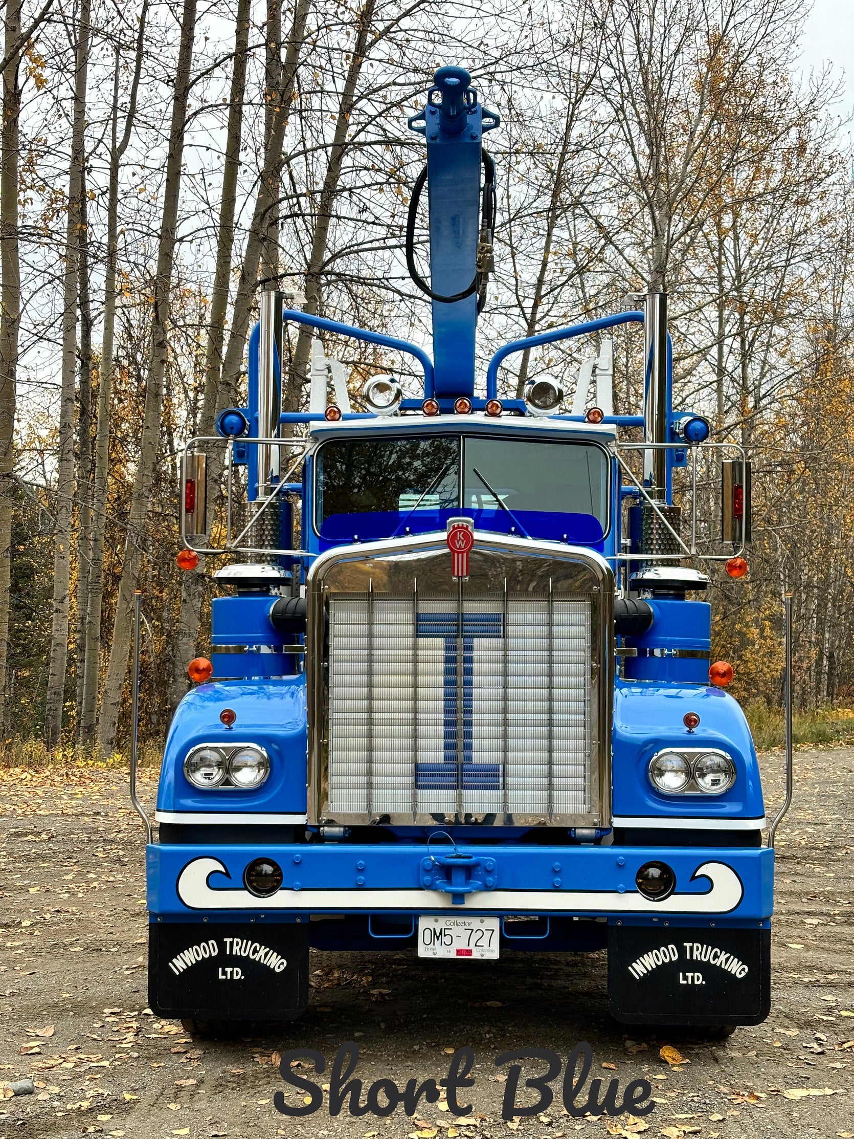 Kenworth W9A Bugshield