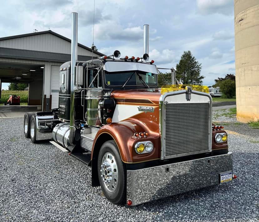 Kenworth W9A Bugshield