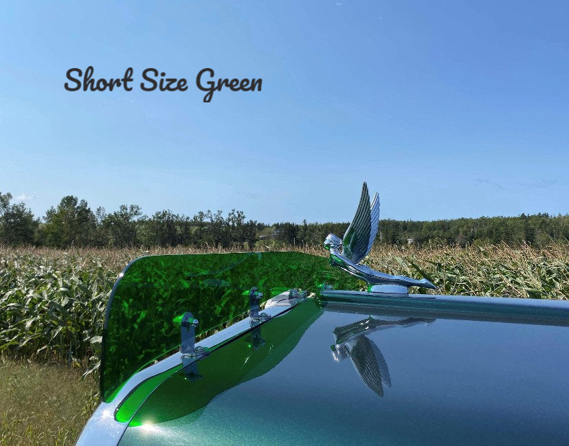 Kenworth W9A Bugshield