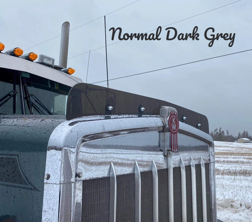Kenworth W9B Bugshield