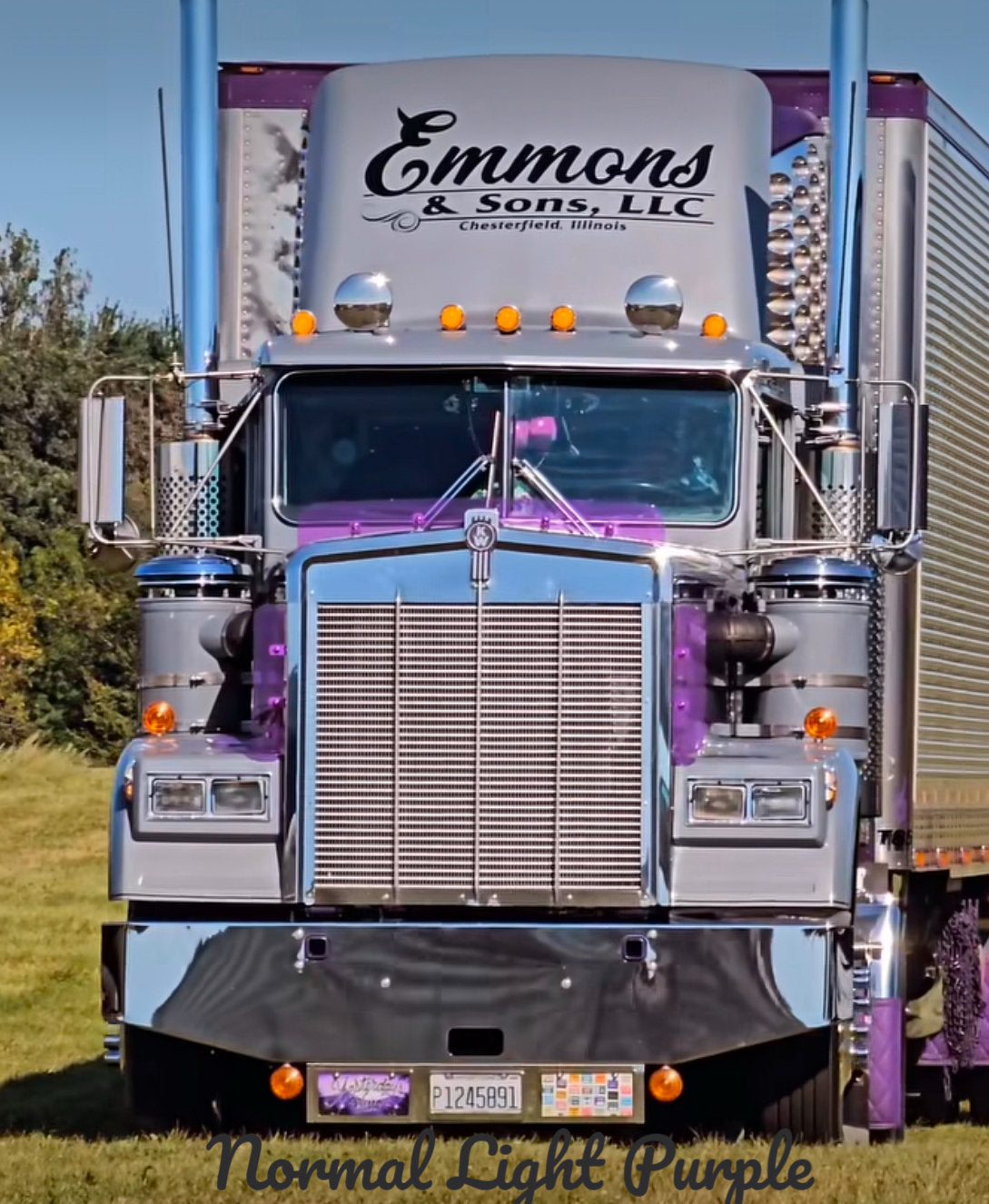Kenworth W9B Bugshield