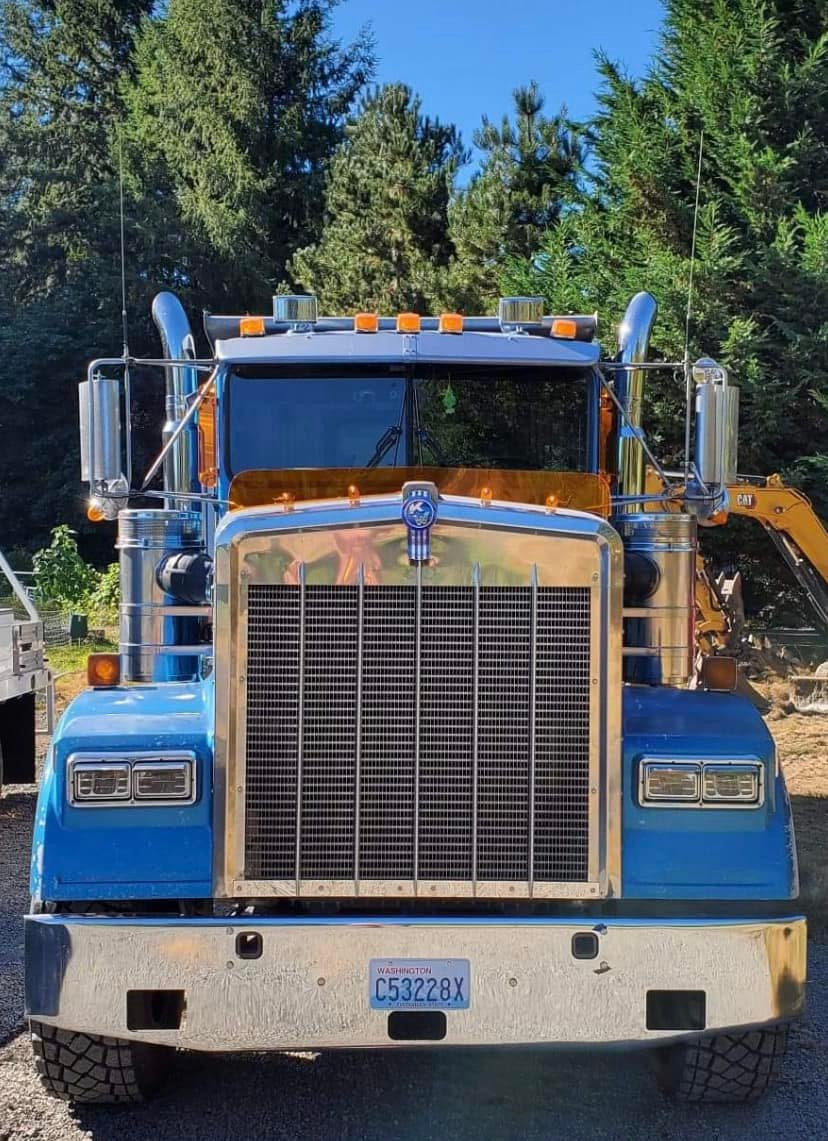Kenworth W9B Bugshield