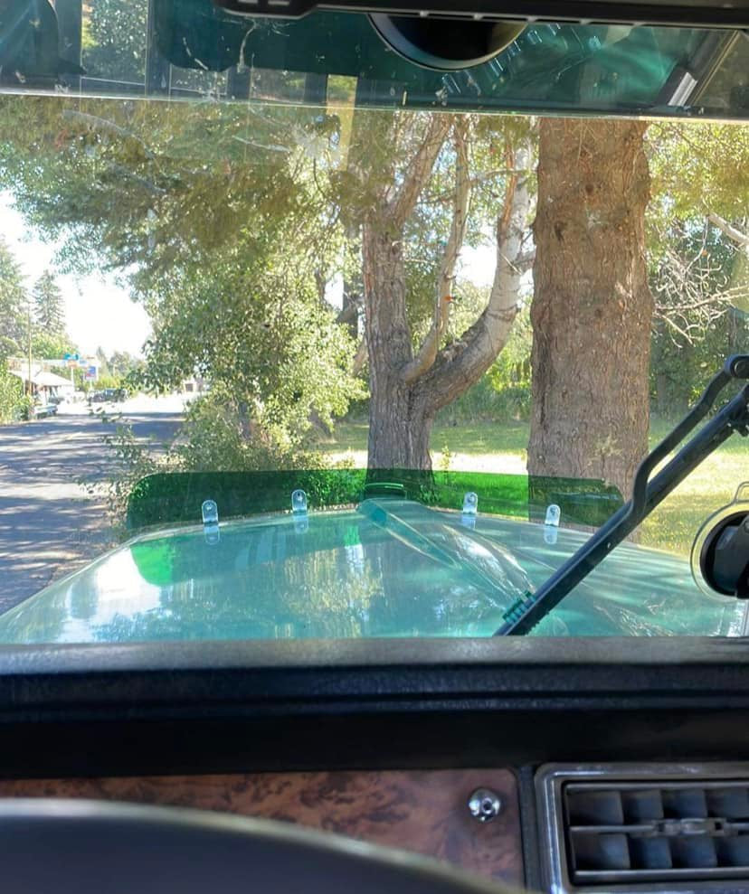 Kenworth W9B Bugshield