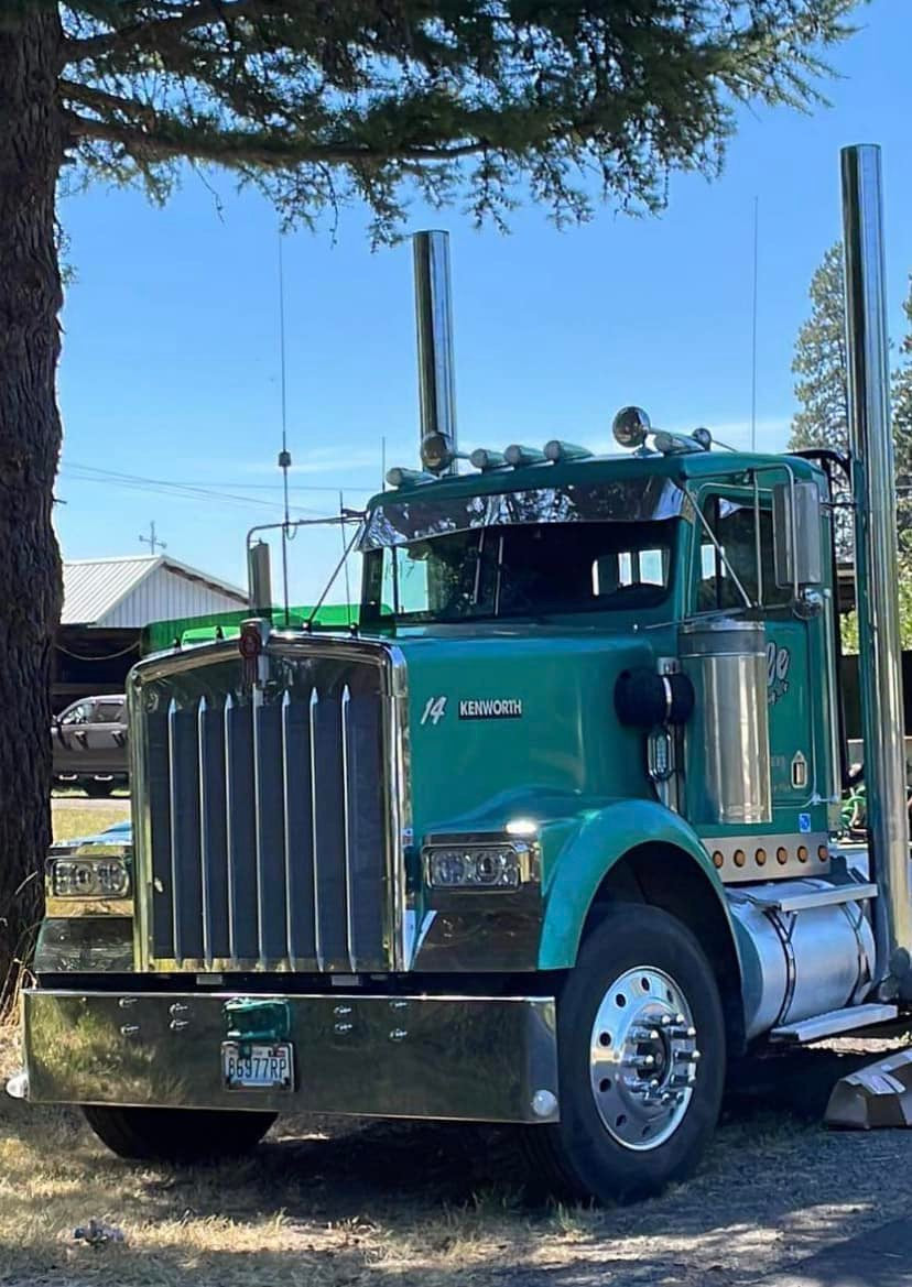 Kenworth W9B Bugshield