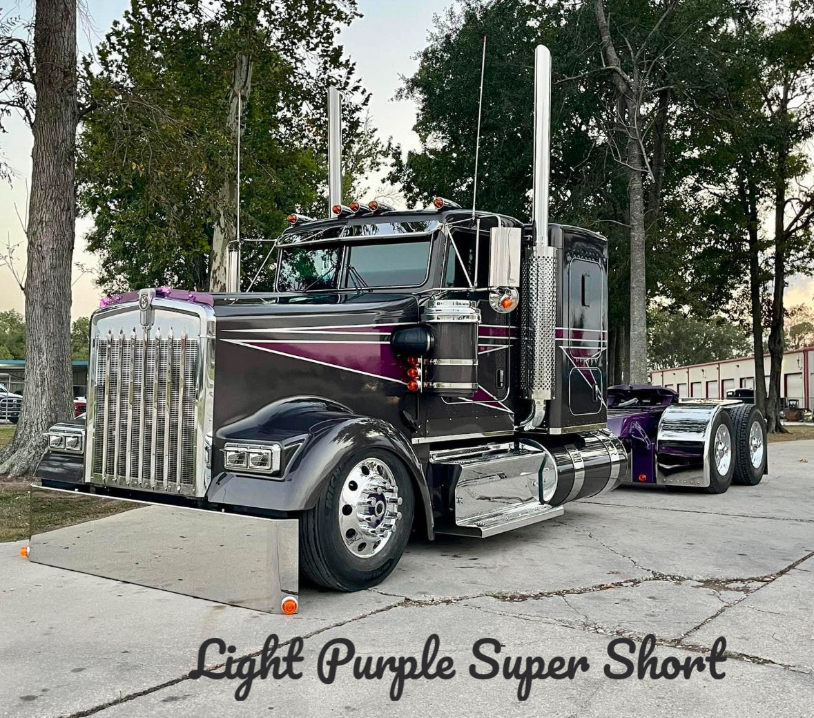Kenworth W9L Bugshield