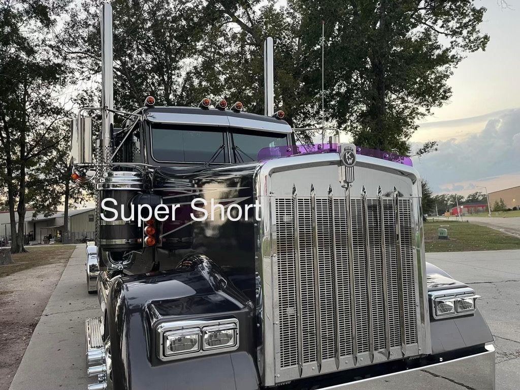 Kenworth W9L Bugshield