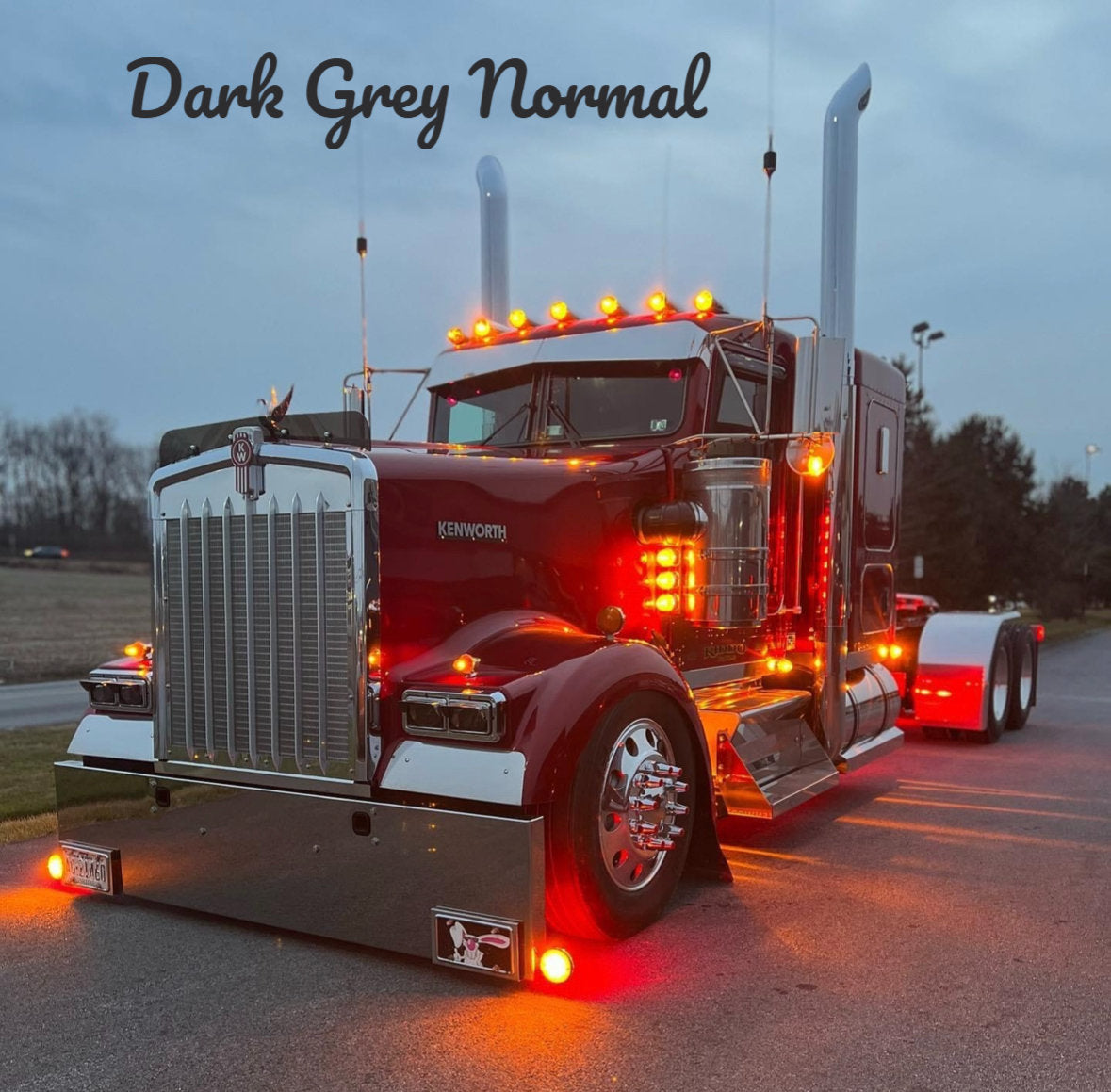 Kenworth W9L Bugshield