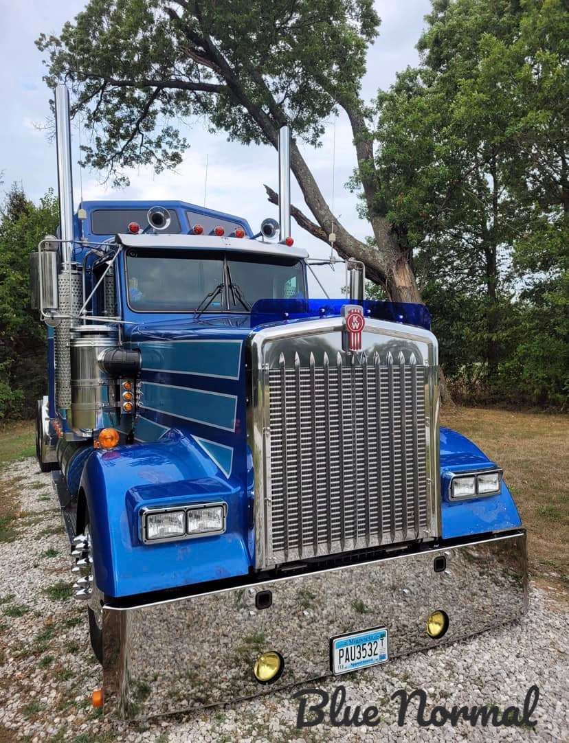 Kenworth W9L Bugshield