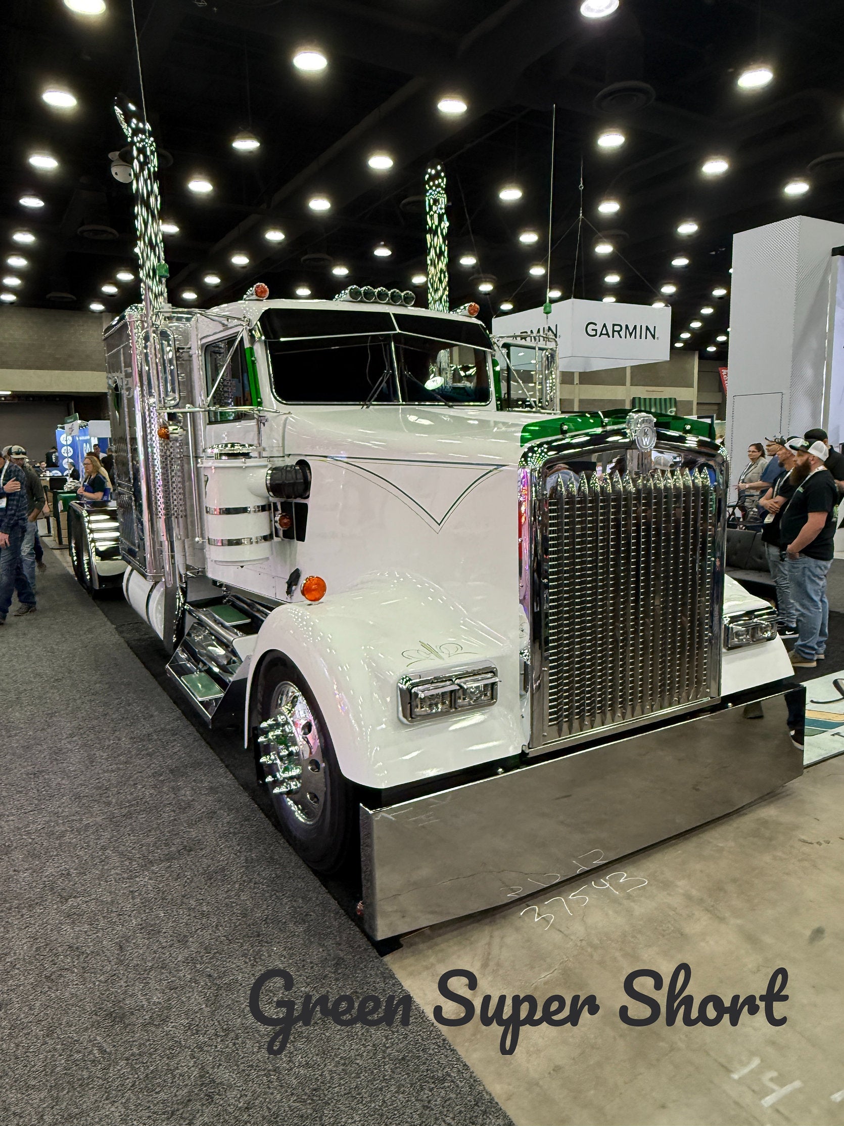 Kenworth W9L Bugshield
