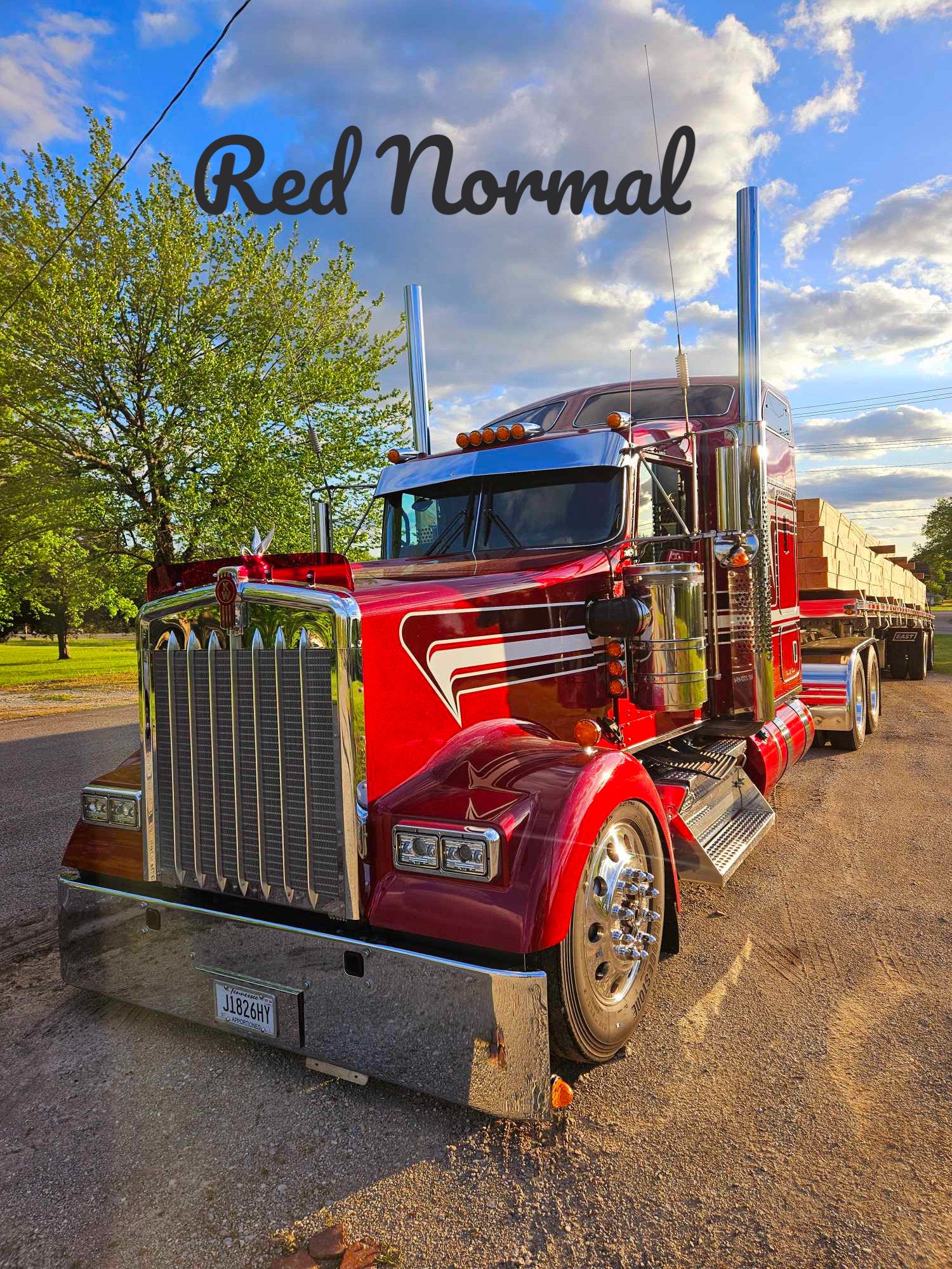 Kenworth W9L Bugshield