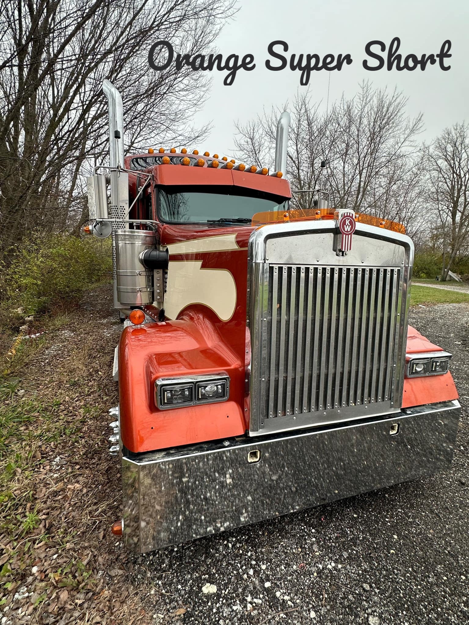 Kenworth W9L Bugshield