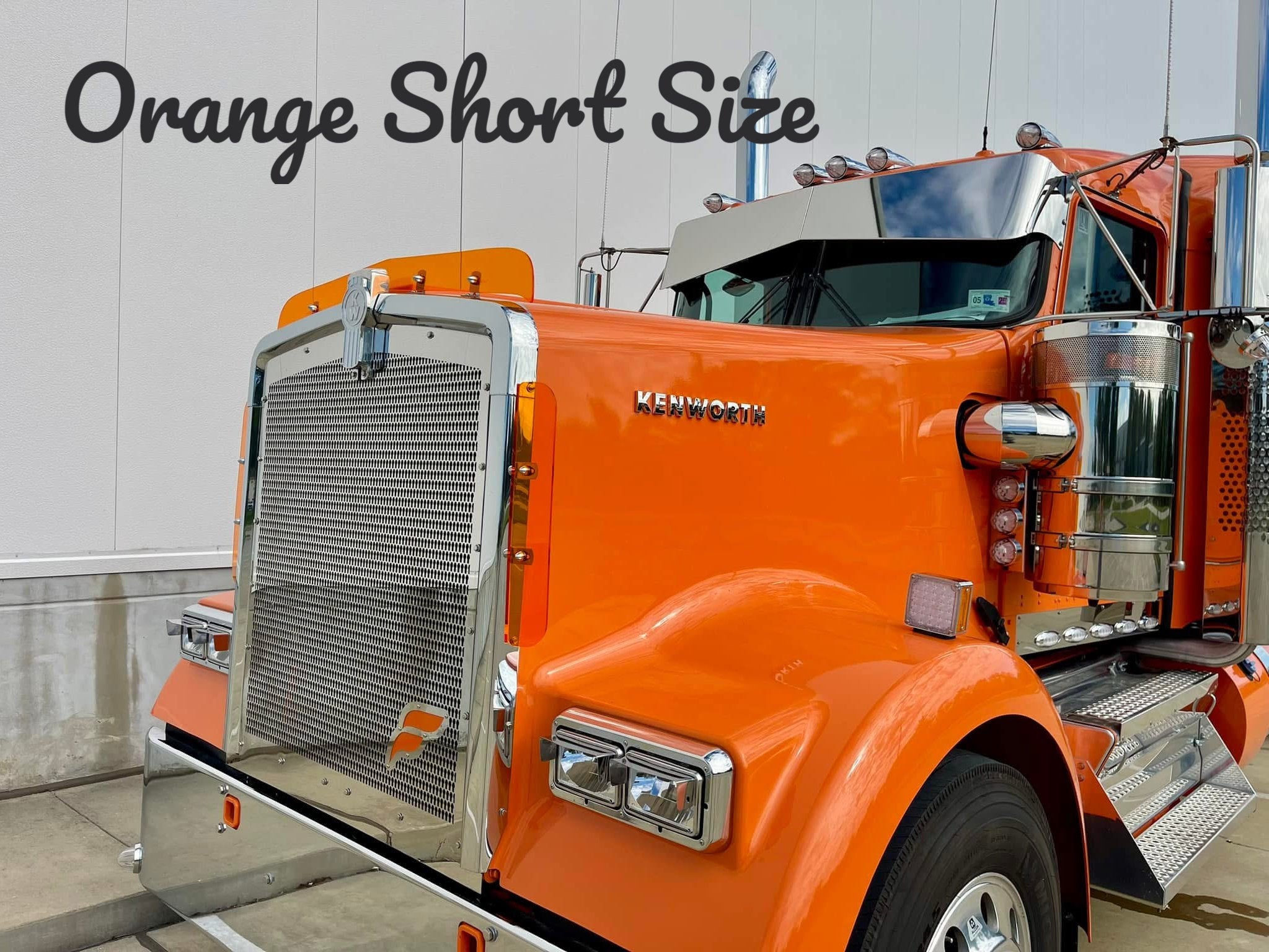 Kenworth W9L Bugshield