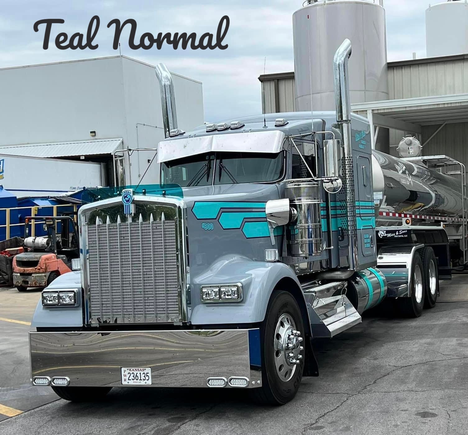 Kenworth W9L Bugshield