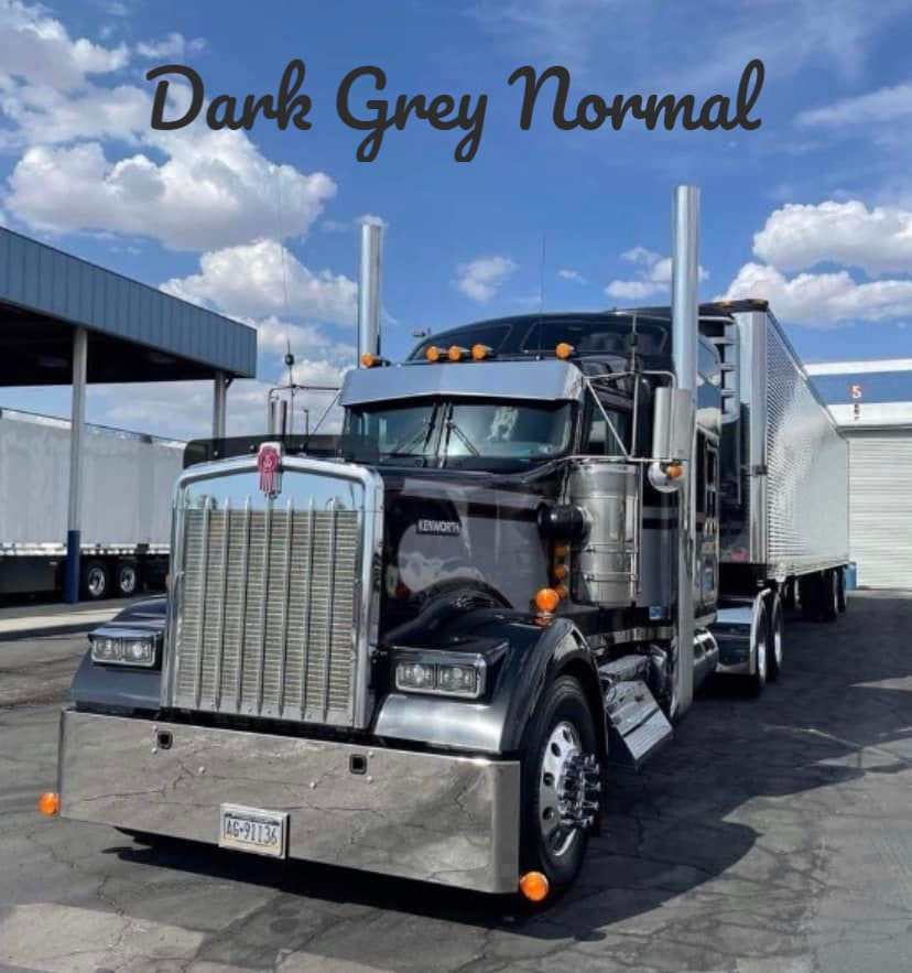 Kenworth W9L Bugshield