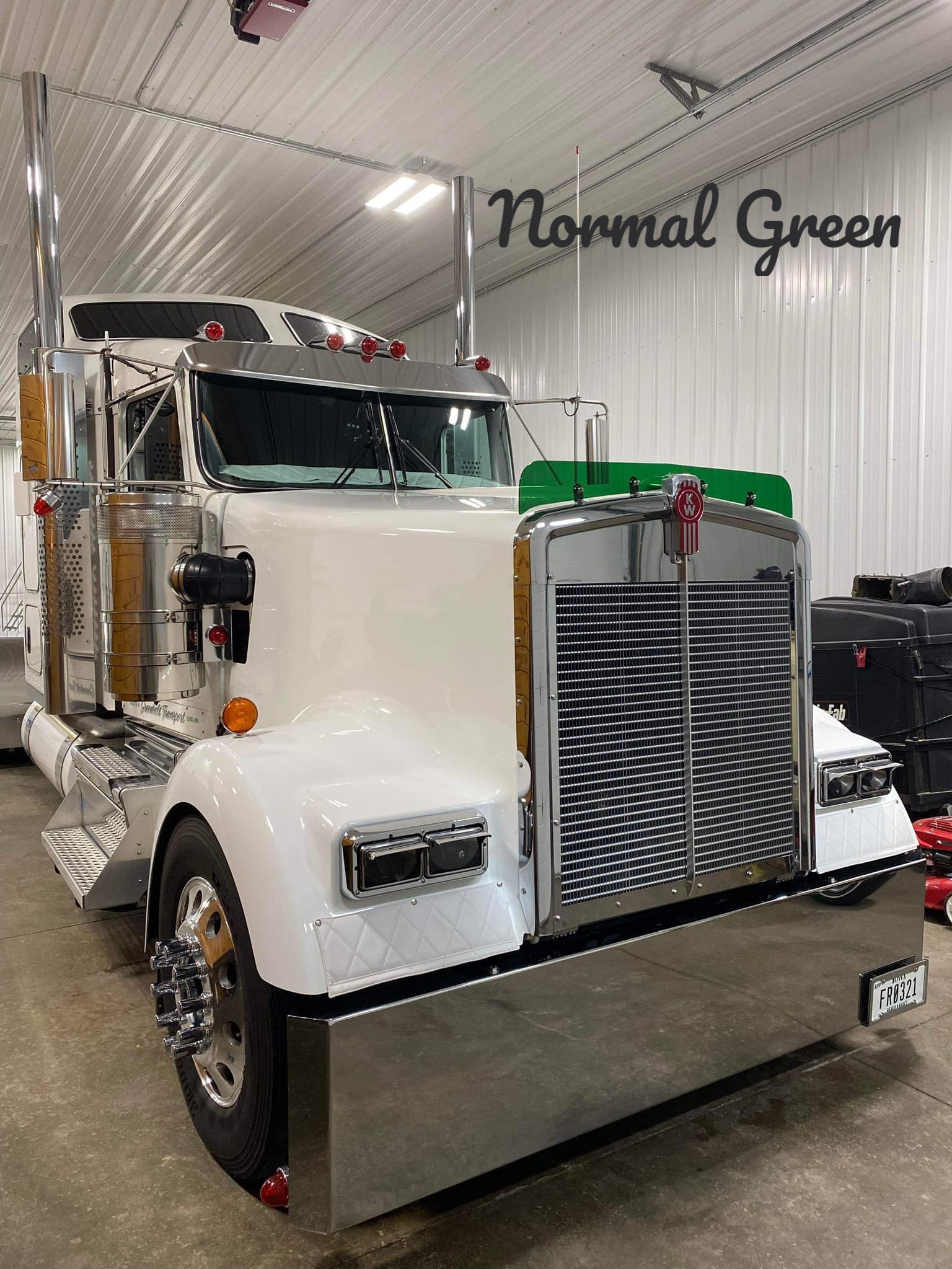 Kenworth W9L Bugshield