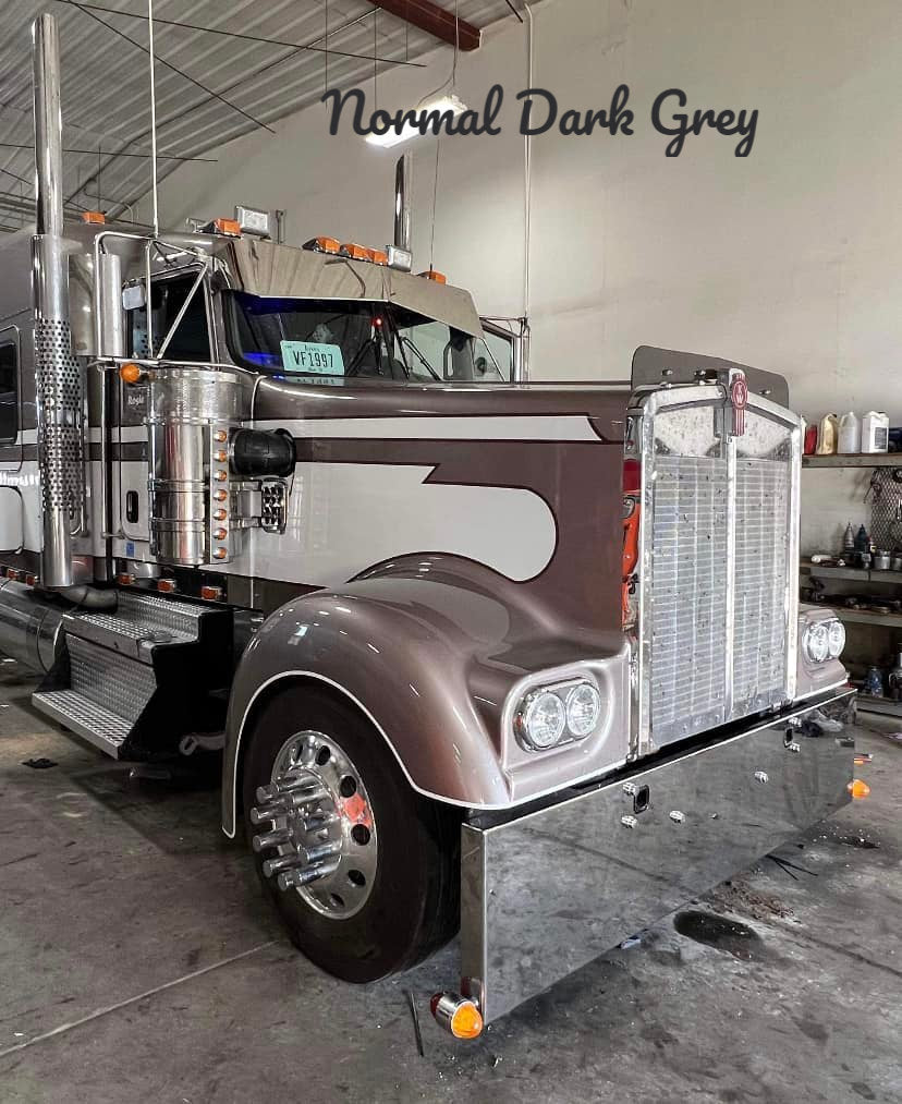 Kenworth W9L Bugshield