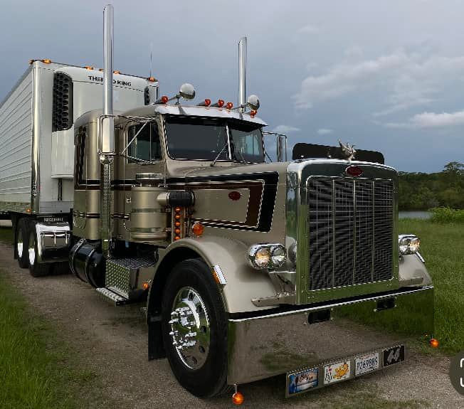 Peterbilt 359 Bugshield