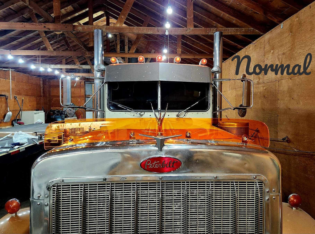 Peterbilt 359 Bugshield