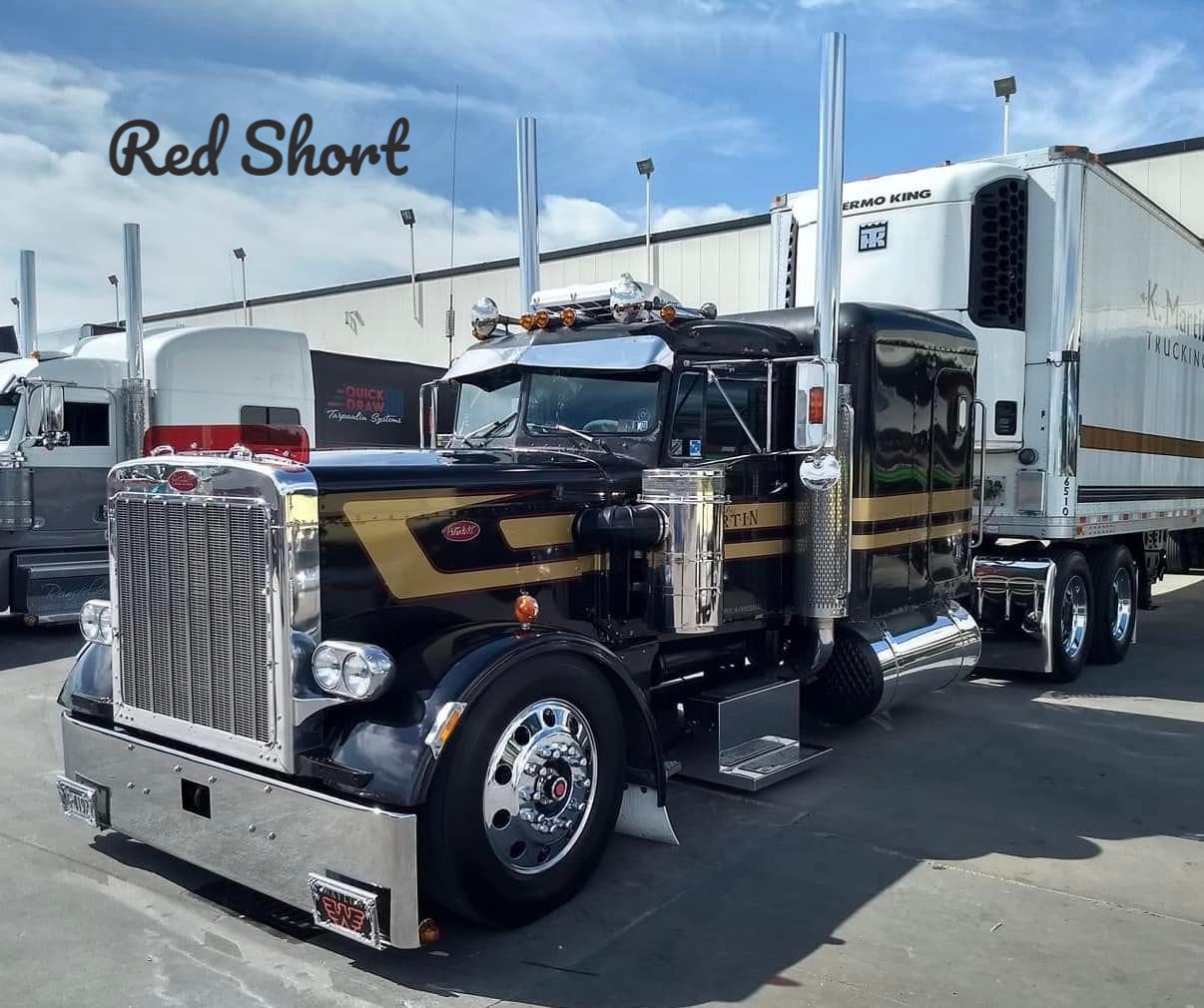 Peterbilt 359 Bugshield