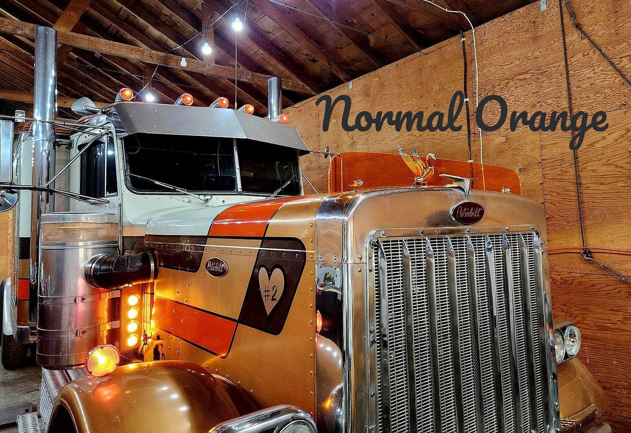 Peterbilt 359 Bugshield
