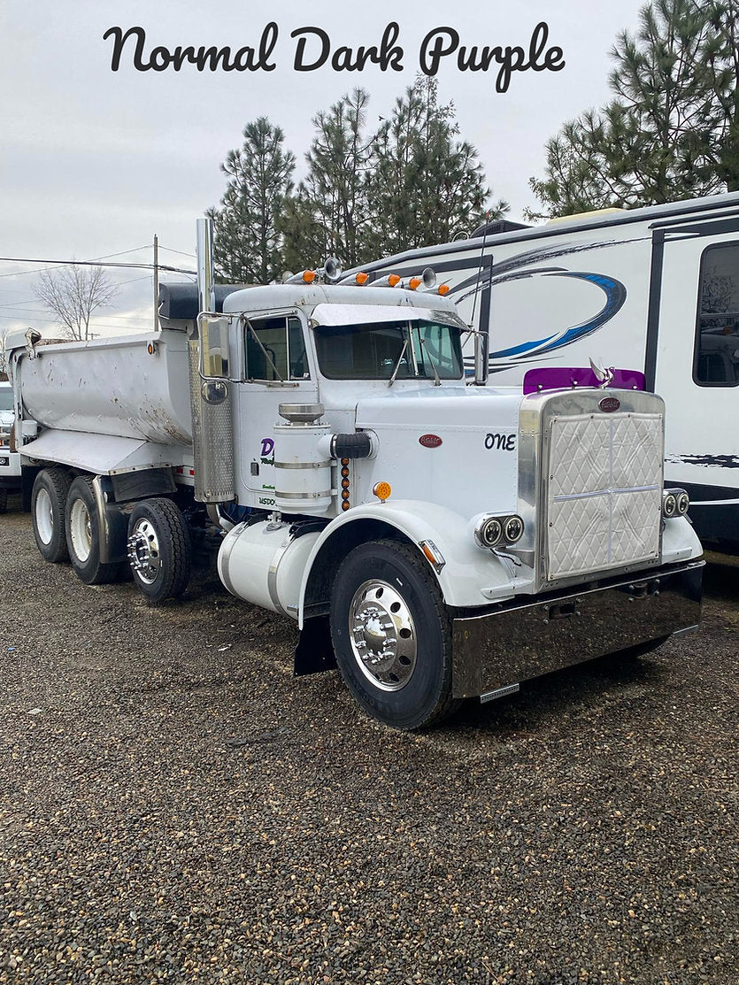 Peterbilt 359 Bugshield