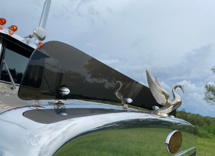 Peterbilt 359 Bugshield