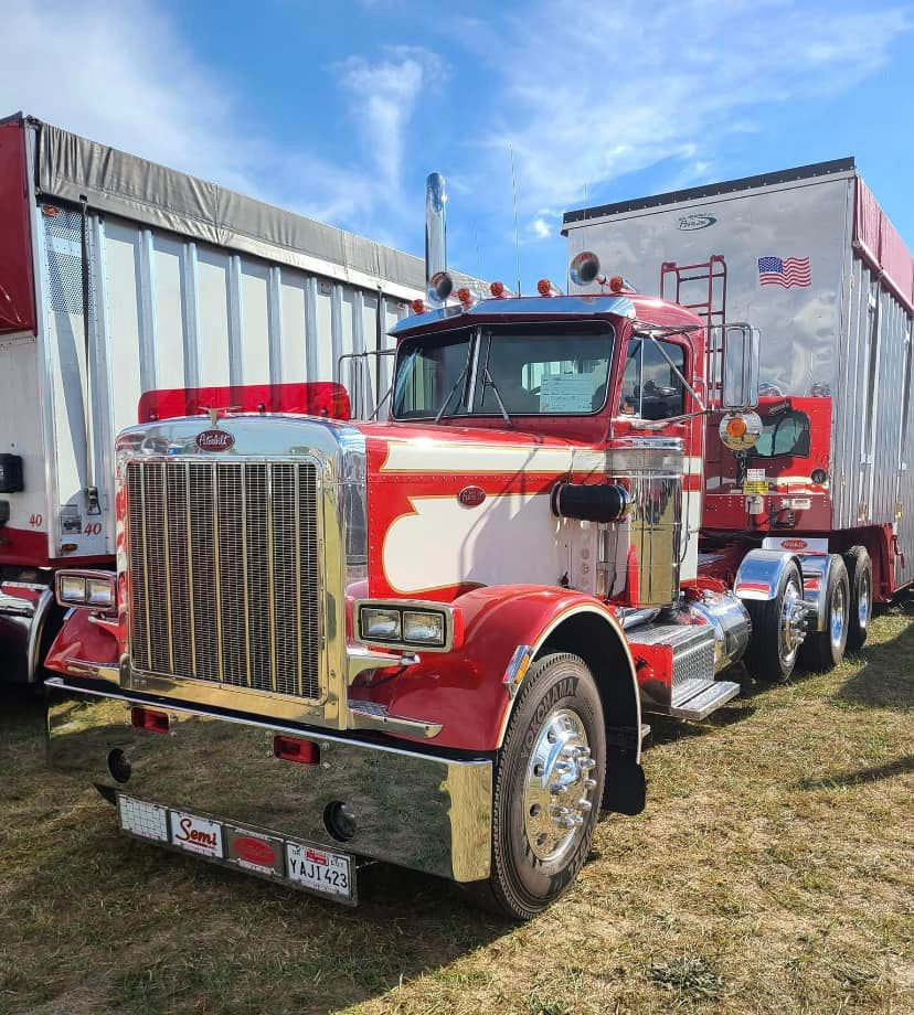 Peterbilt 359 Bugshield
