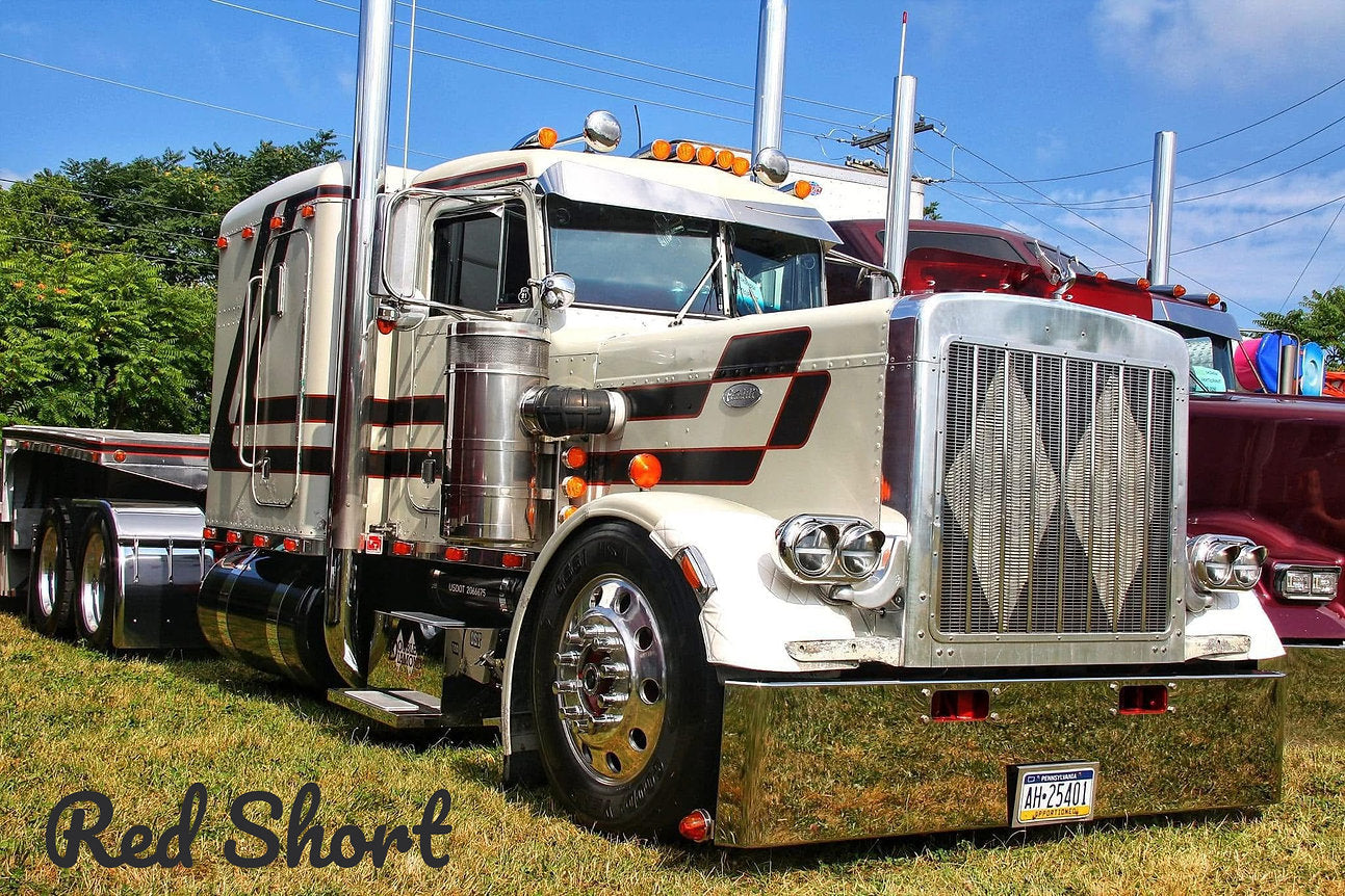 Peterbilt 359 Bugshield