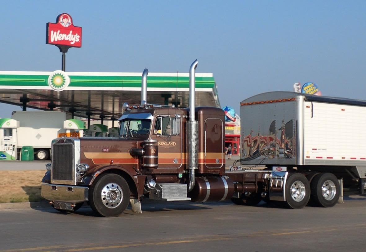 Peterbilt 359 Bugshield