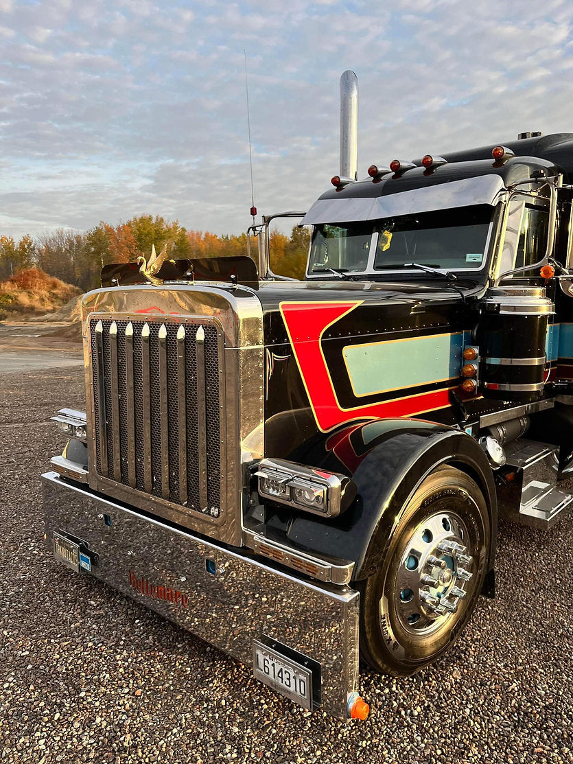 Peterbilt 379 Bugshield
