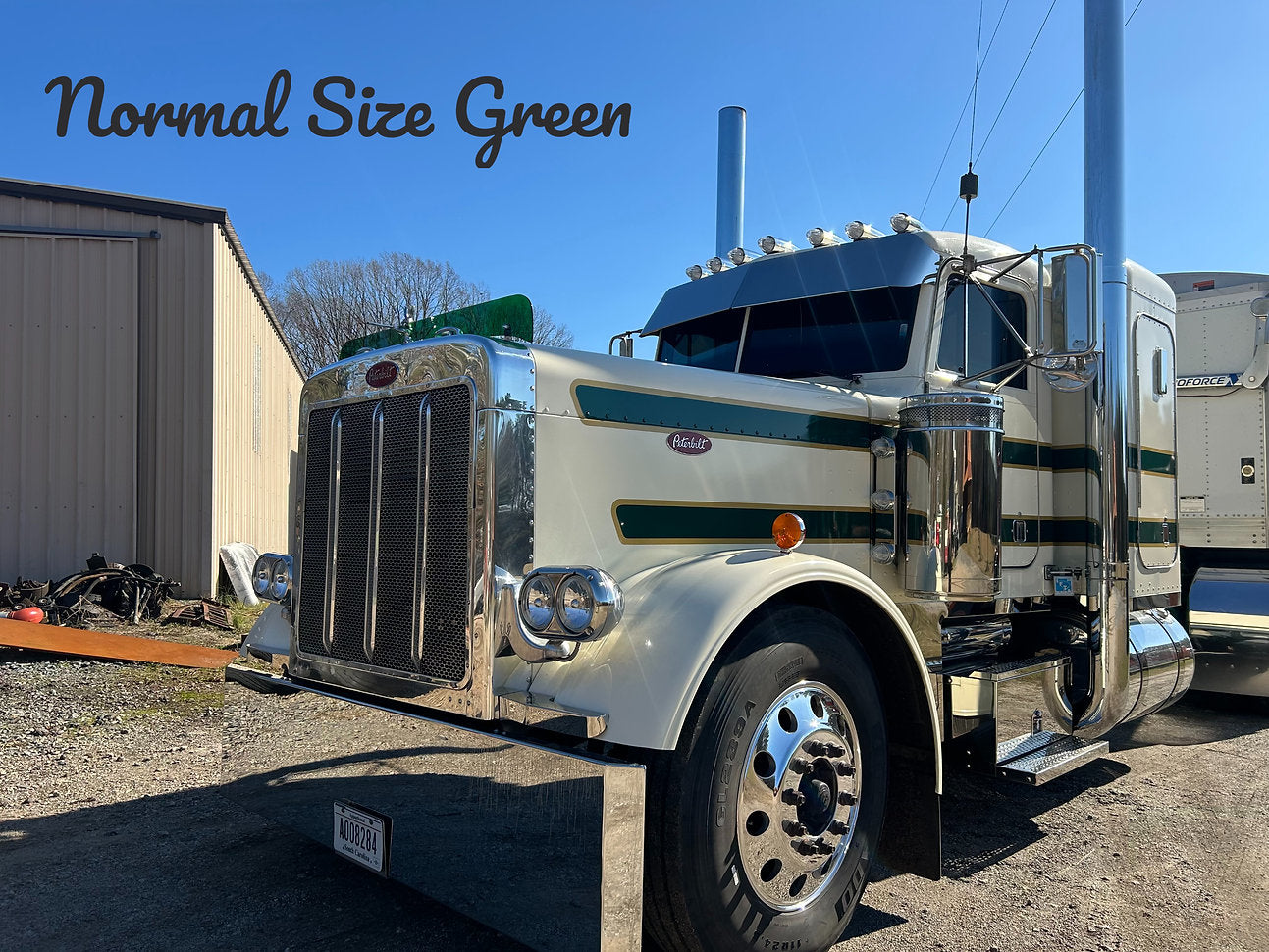 Peterbilt 379 Bugshield
