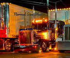 Peterbilt 379 Bugshield