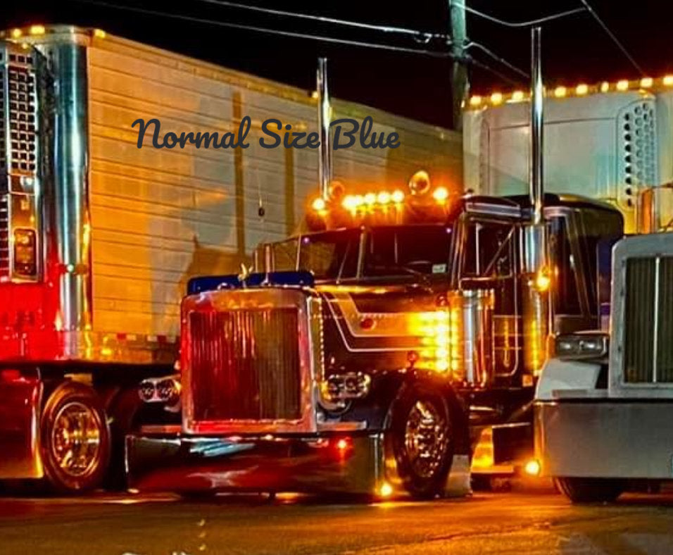 Peterbilt 379 Bugshield