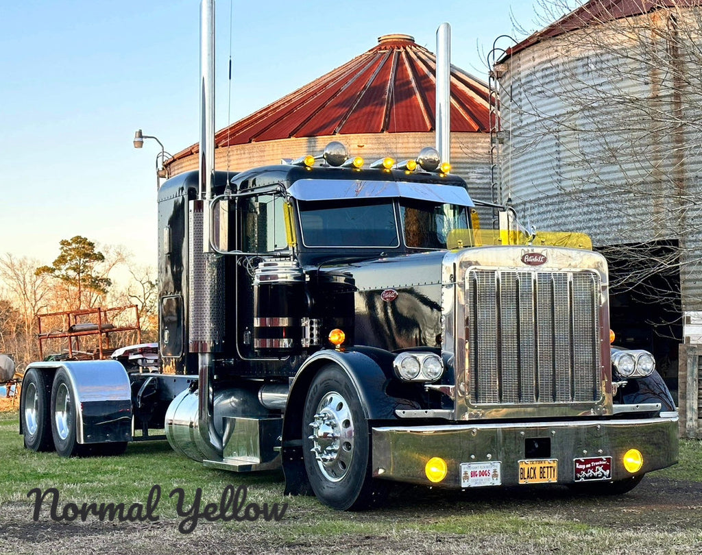 Peterbilt 379 Bugshield